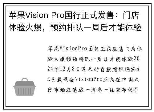 苹果Vision Pro国行正式发售：门店体验火爆，预约排队一周后才能体验(apple vision)