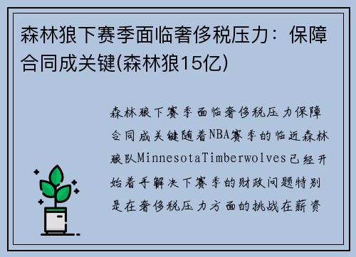 森林狼下赛季面临奢侈税压力：保障合同成关键(森林狼15亿)