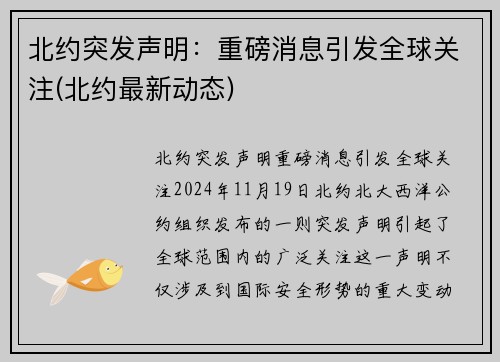 北约突发声明：重磅消息引发全球关注(北约最新动态)