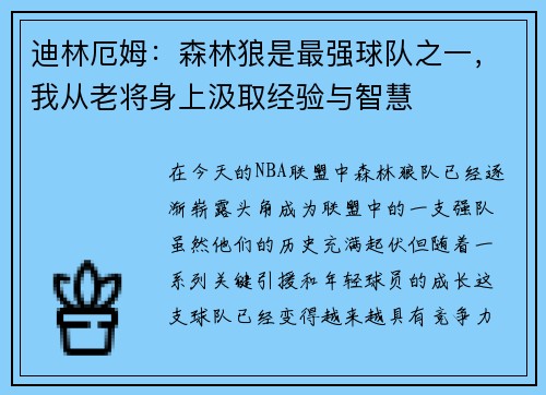 迪林厄姆：森林狼是最强球队之一，我从老将身上汲取经验与智慧